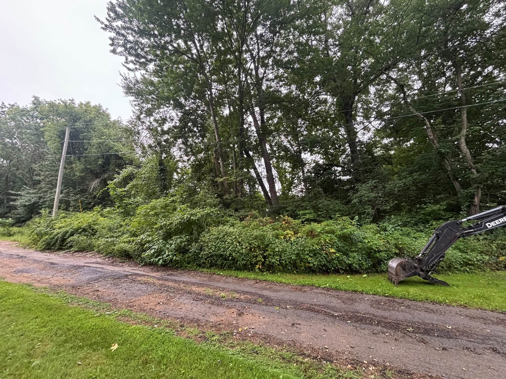Before — brush and overgrowth along driveway, Spencer MA
